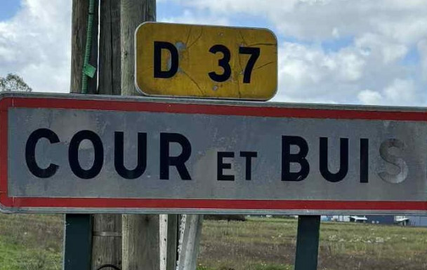 CLM Gentleman de Cour et Buis GEIC